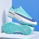 Сороконожки Air Zoom Mercurial Vapor TF Turquoise 2161 фото 9